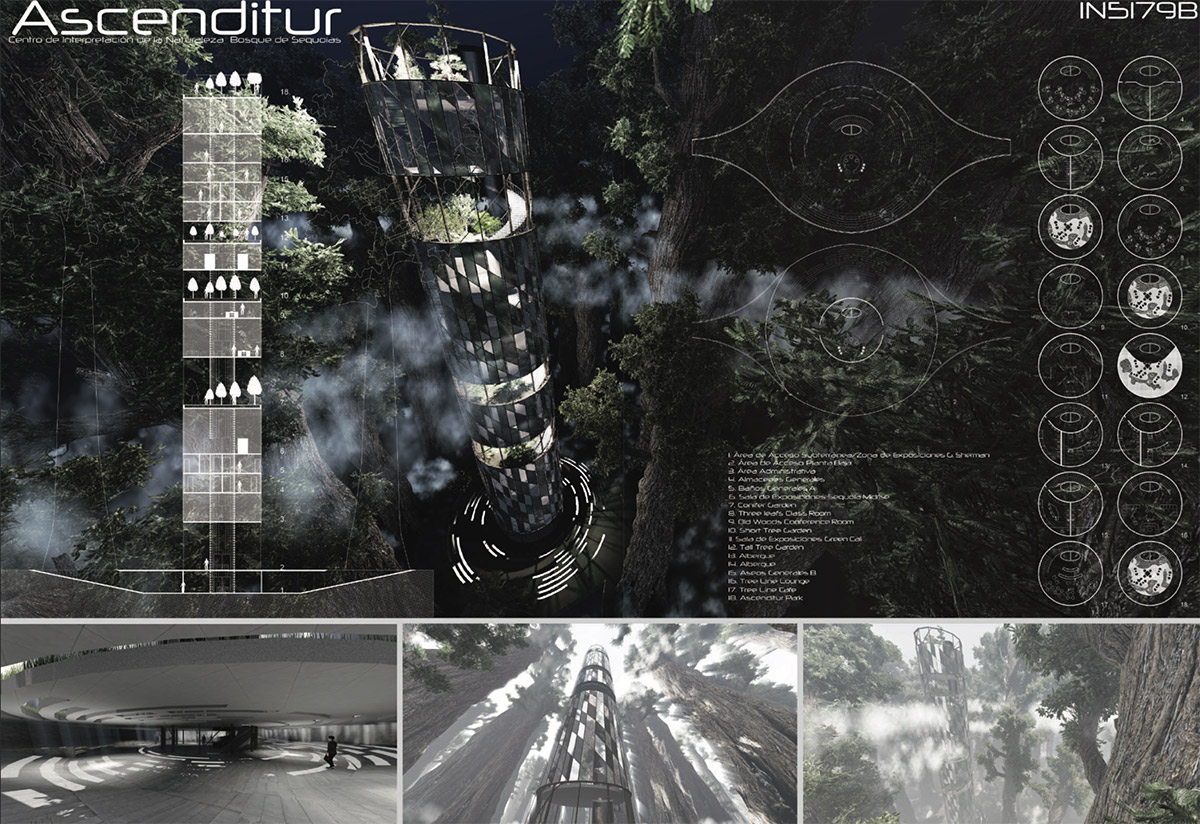 Ascenditur